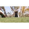 Foresight Sports GCQuad Launch Monitor